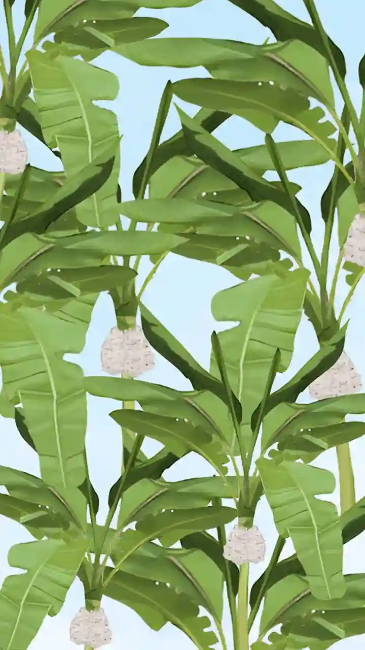 South Indian Wedding Invitation Video with Elegant Style