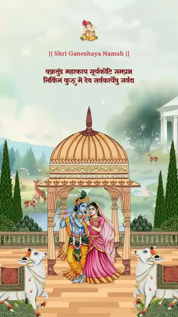 Wedding Invitation Video Download with Creative Templates